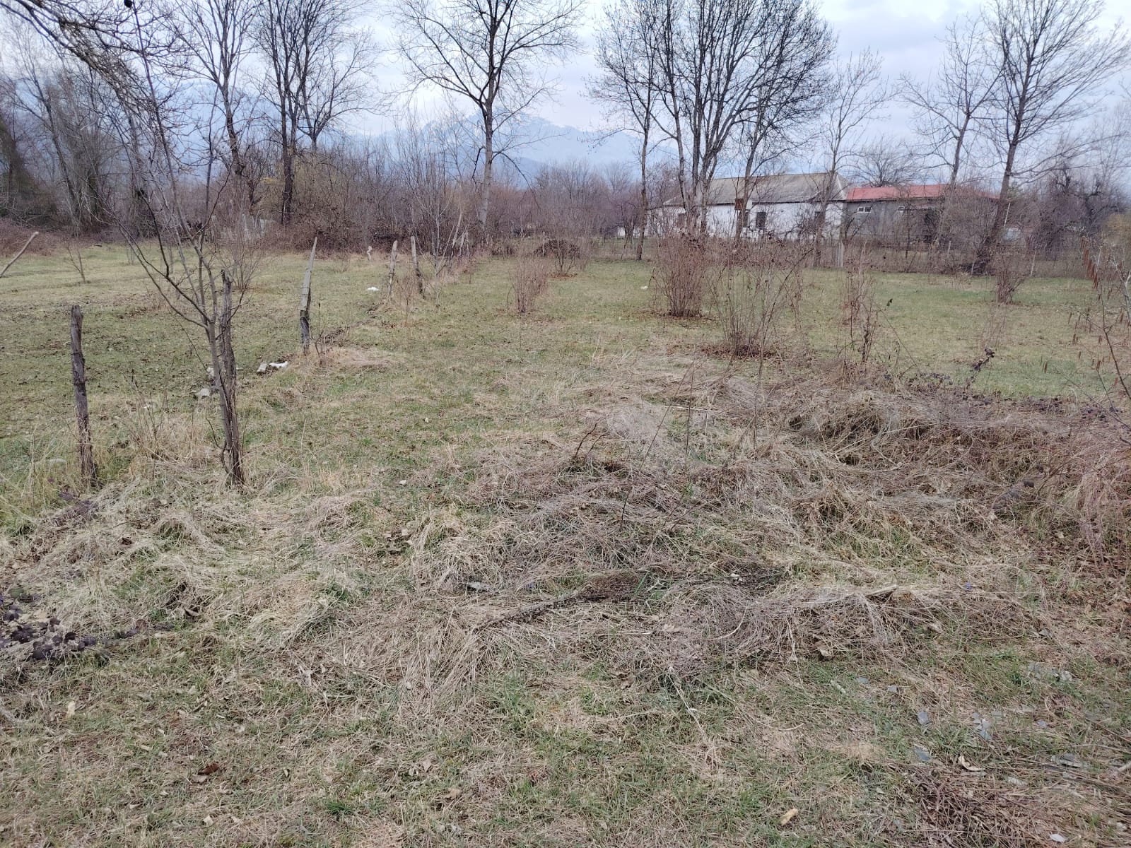 QƏBƏLƏ RAYONU, NÖHÜRQIŞLAQ KƏNDİ