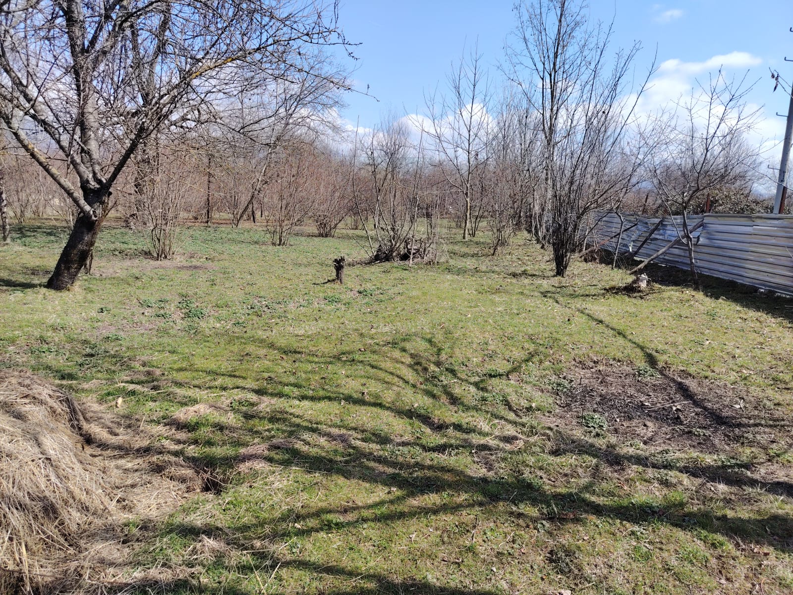 QƏBƏLƏ RAYONU, NÖHÜRQIŞLAQ KƏNDİ