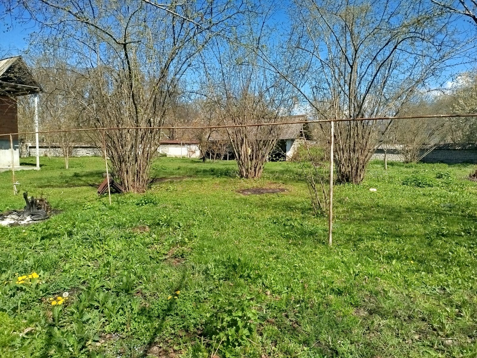 TÜNTÜL KƏNDİ 2900 MAN TORPAQ SAHƏSİ SATILIR