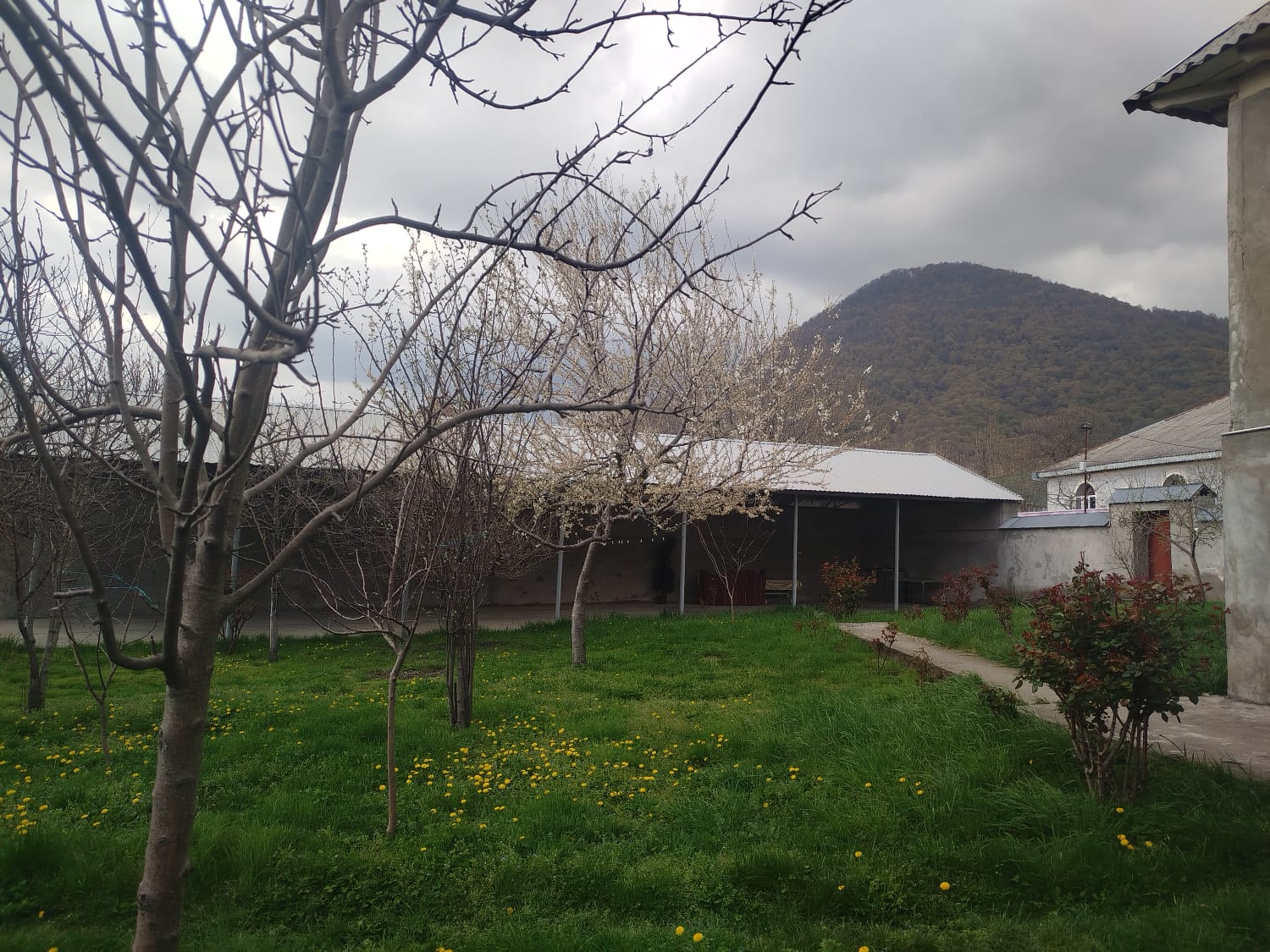 Pastarda 5 və ya 6 sot torpaq sahəsi satılır