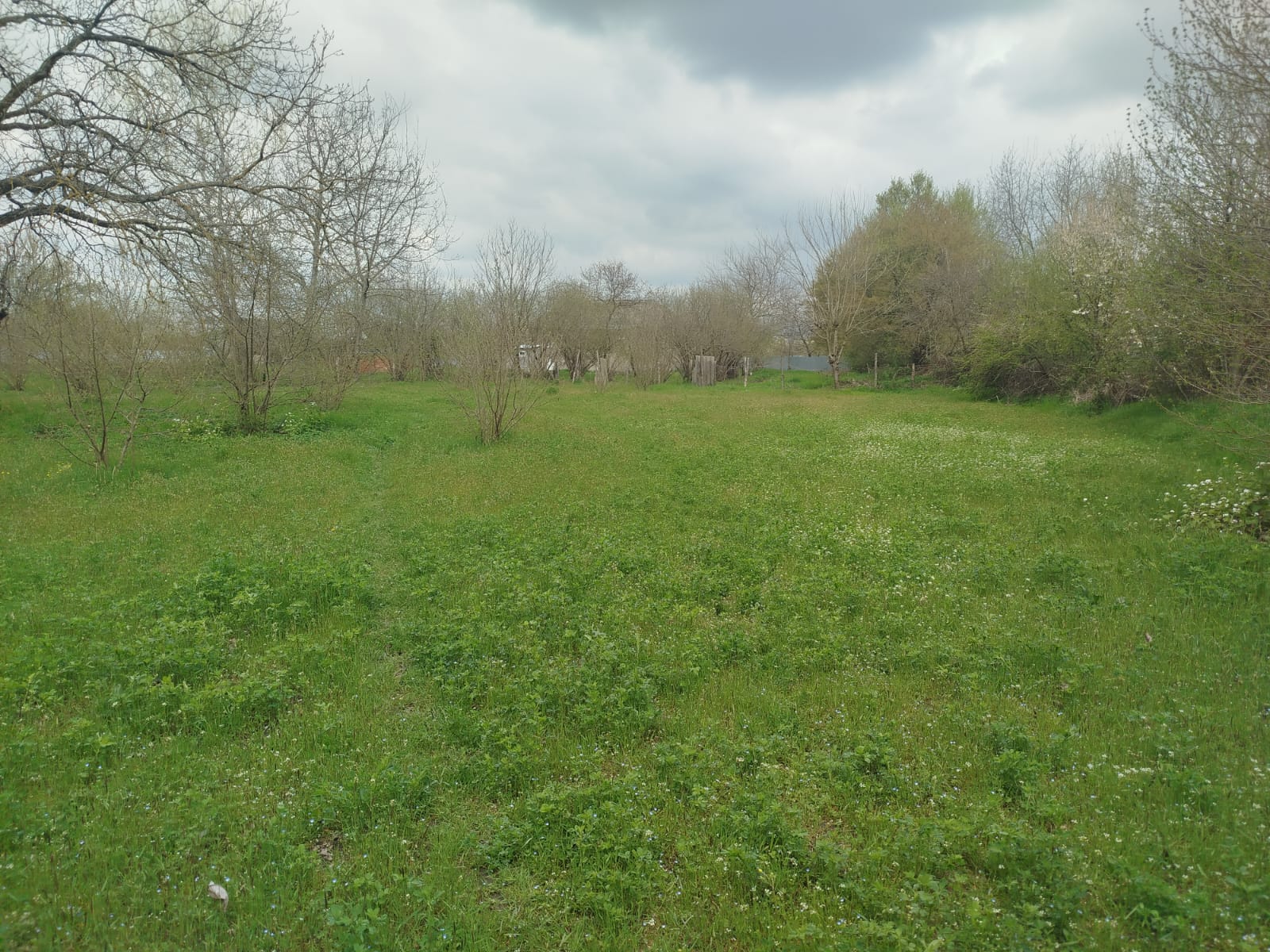 TÜNTÜL KƏNDİ 1 SOTU 1800 manata  TORPAQ SAHƏSİ SATILIR