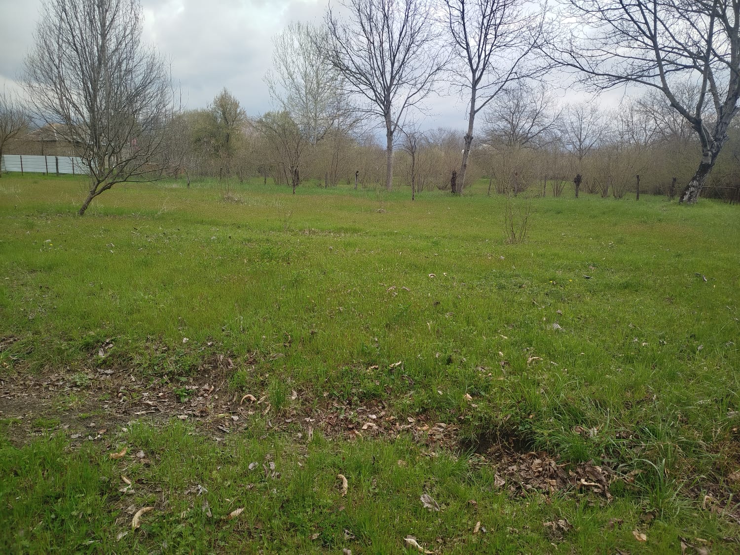 YOLDAN 1 KM UZAQLIQDA 30 SOT TORPAQ SAHƏSİ SATILIR